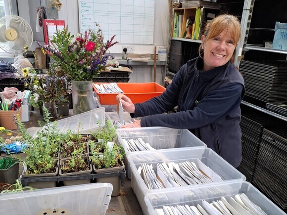 Seed sowing in winter Seed sowing in winter