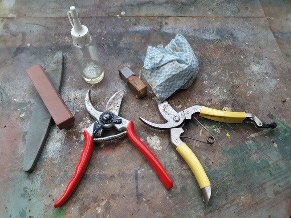 Our favourite garden tools Our favourite garden tools