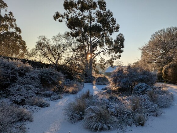 Wild Words from the Ground - December/January Wild Words from the Ground - December/January