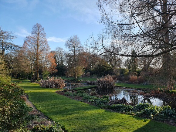 The gardens are bursting into bloom The gardens are bursting into bloom