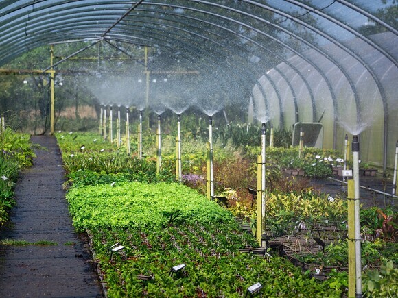 Our Peat Free Journey Our Peat Free Journey