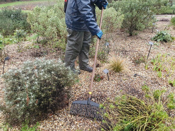 Our favourite garden tools Our favourite garden tools