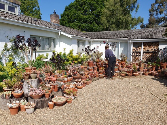 Container gardening Container gardening