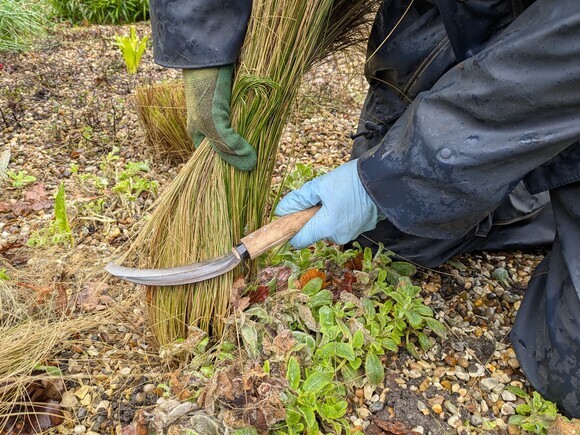 Our favourite garden tools Our favourite garden tools