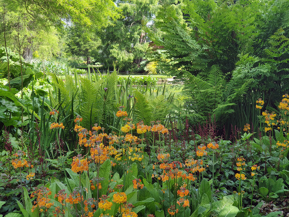Plant combination ideas in June Plant combination ideas in June