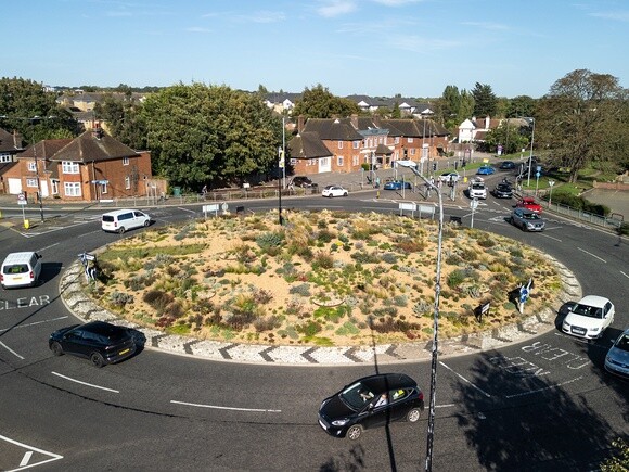 Planting on the Albert roundabout Planting on the Albert roundabout