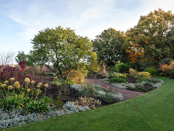 Planting in autumn Planting in autumn