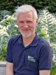 How summer heat has affected the plants How summer heat has affected the plants