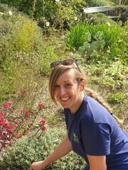 Rejuvenating a Tired Garden Border Rejuvenating a Tired Garden Border