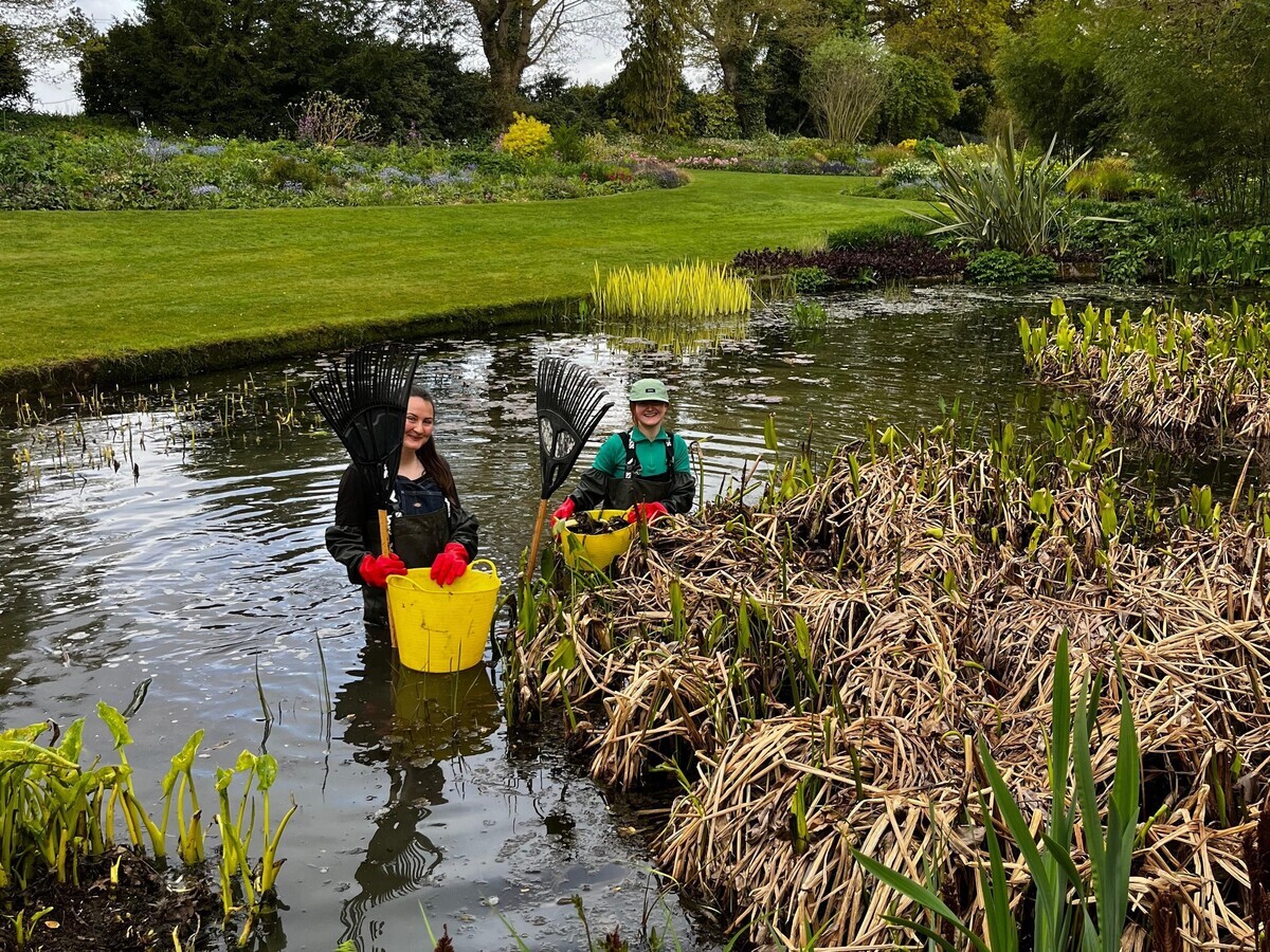Weekly catch up with garden & propagation