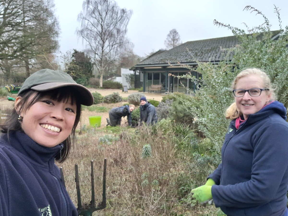 Weekly catch up with garden & propagation