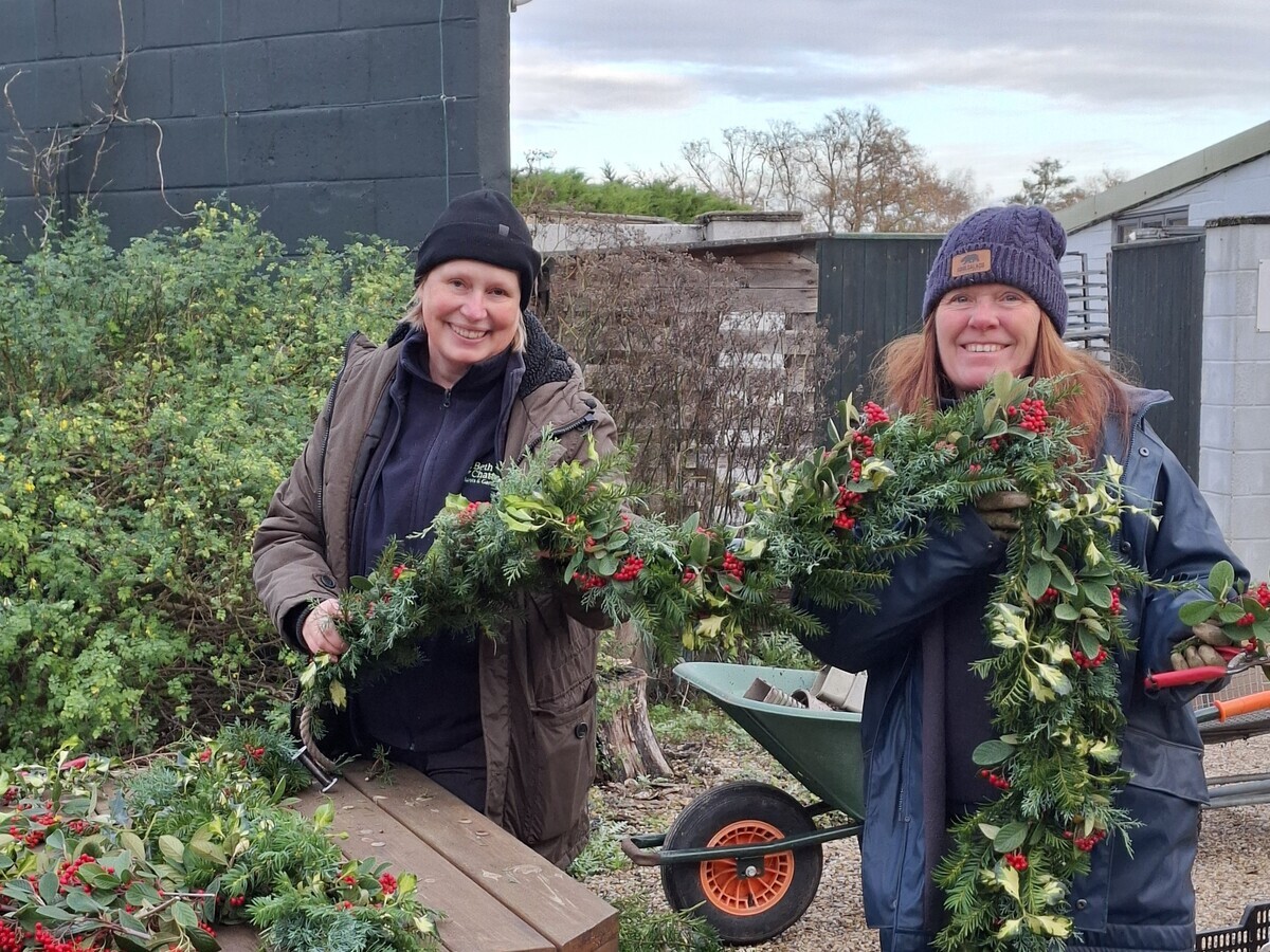 Weekly catch up with garden & propagation