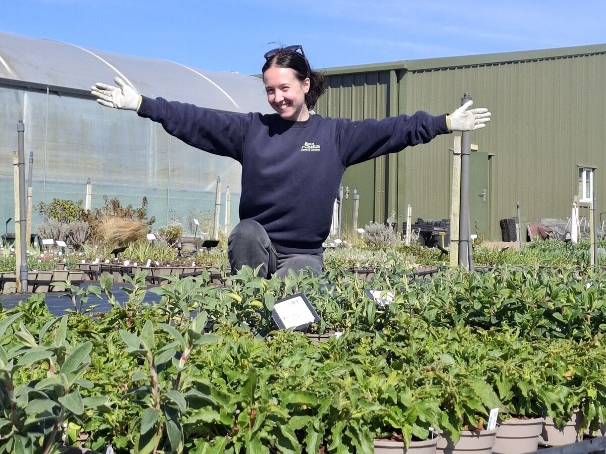Weekly catch up with gardens & propagation