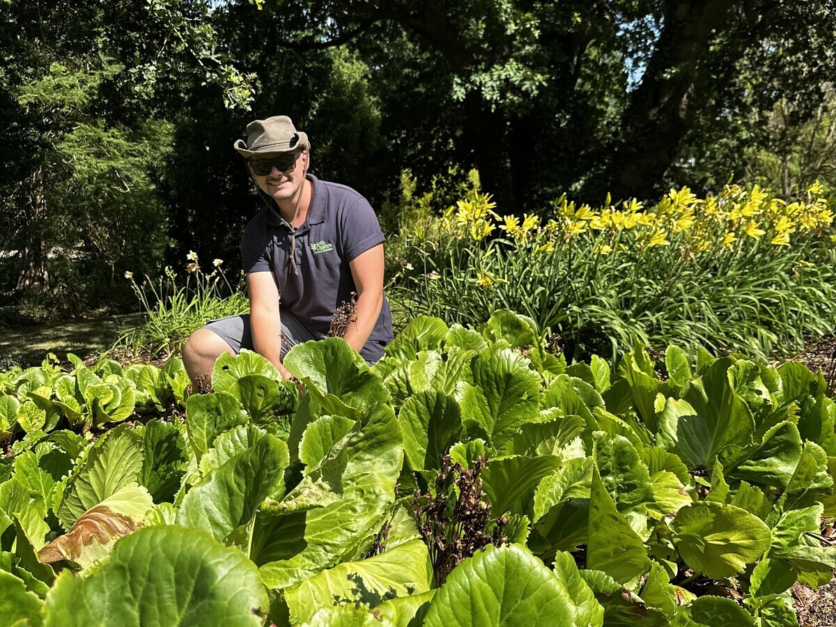 Weekly catch up with garden & propagation