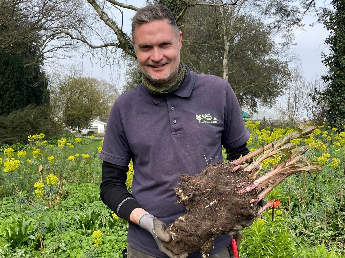 Weekly catch up with garden & propagation