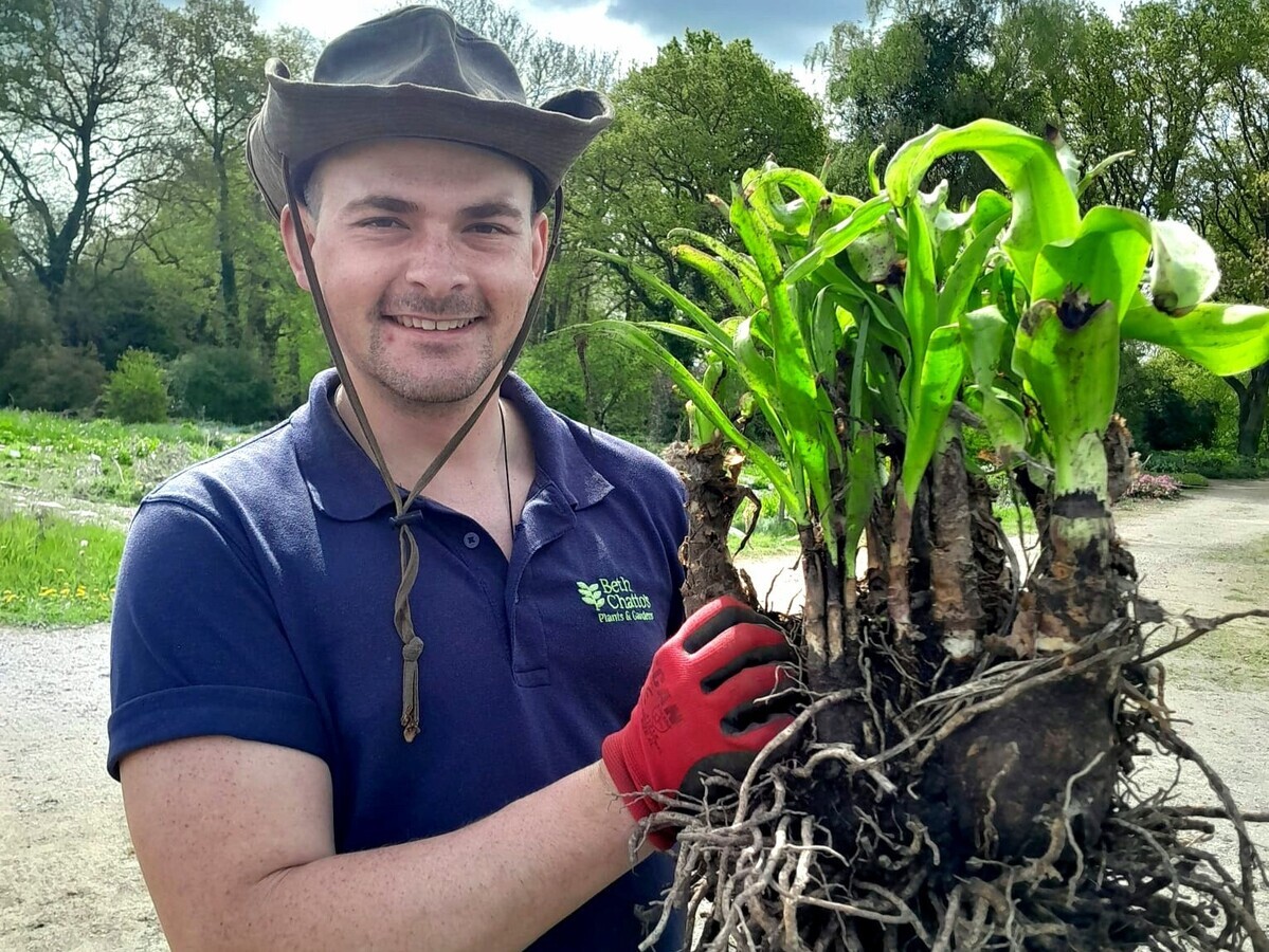 Weekly catch up with gardens & propagation