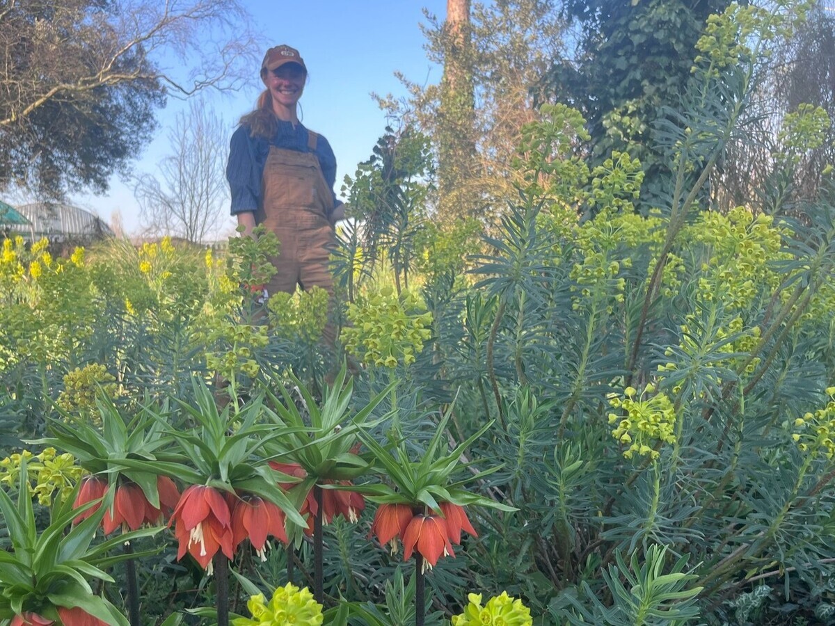 Weekly catch up with gardens & propagation 