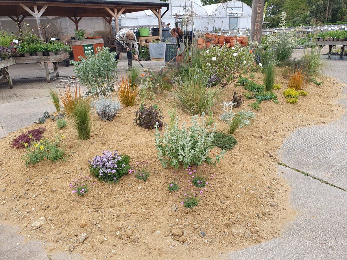 Chelsea inspired sand garden