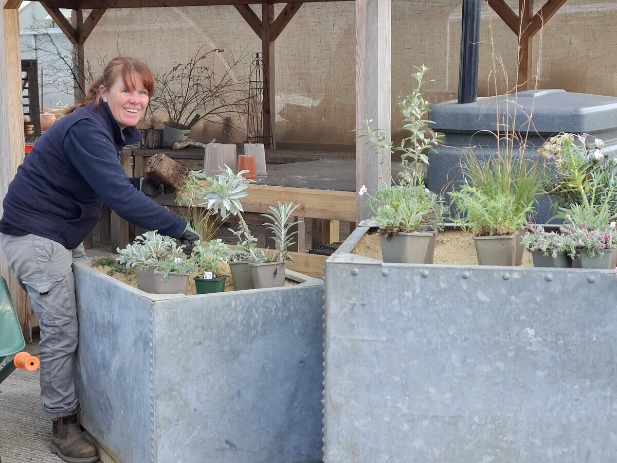 New urban planters for 2026
