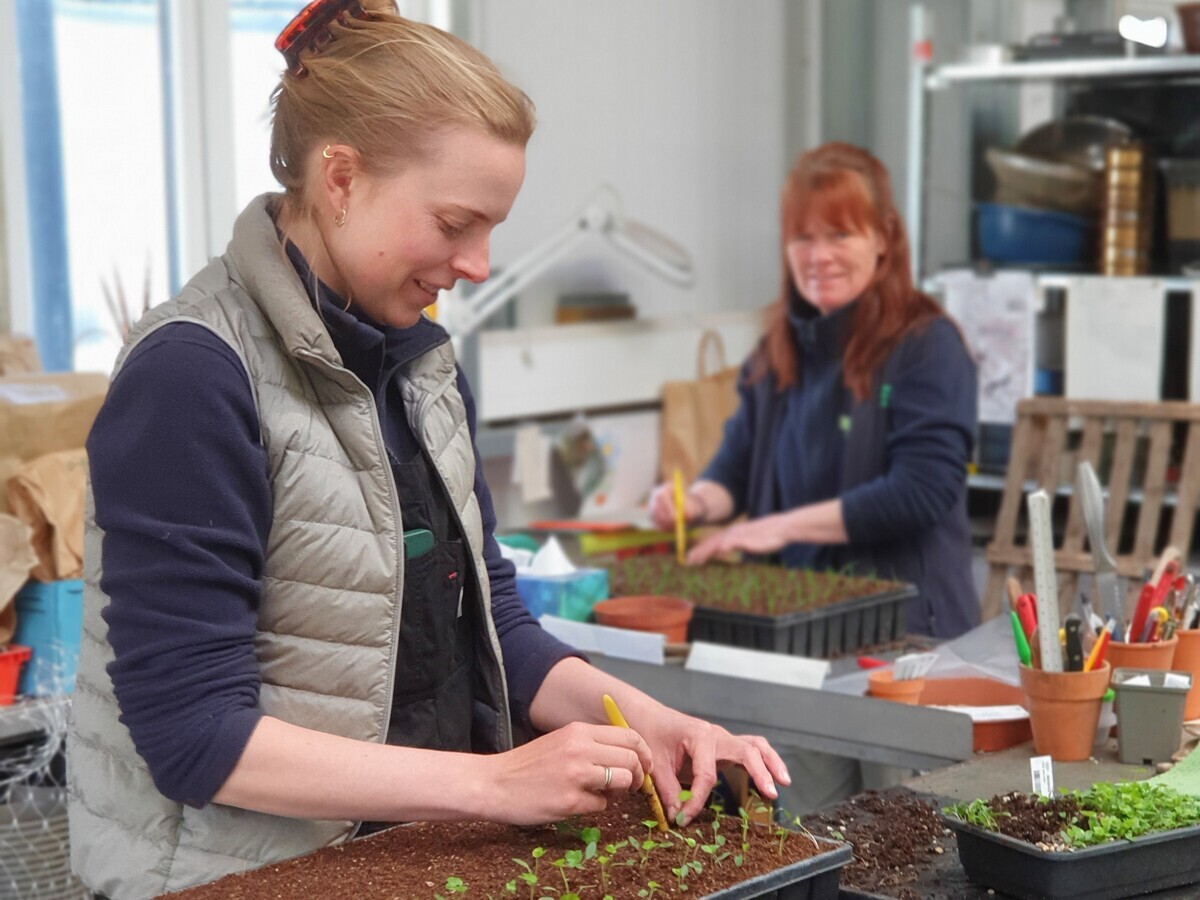 Weekly catch up with gardens & propagation