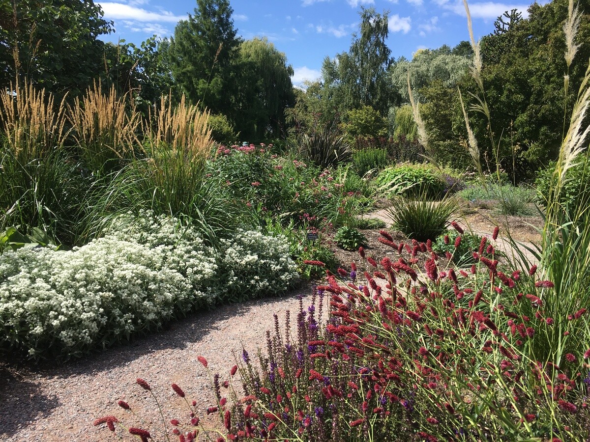 Planting successfully in summer