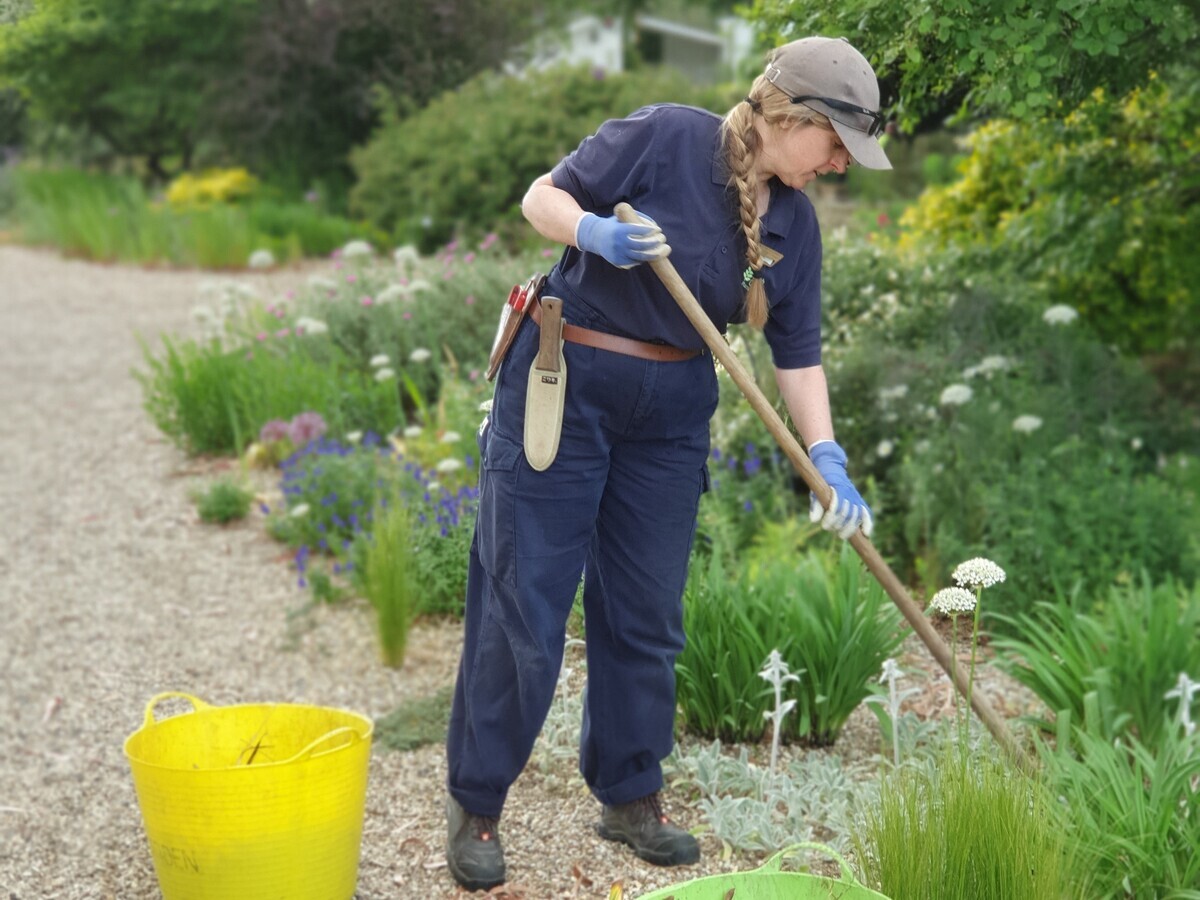Weekly catch up with garden & propagation