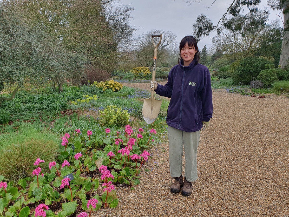 Our favourite garden tools 