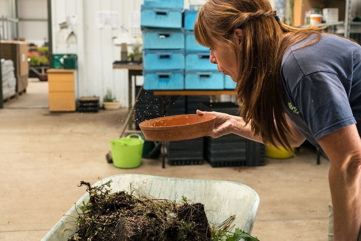 Seed sowing in winter