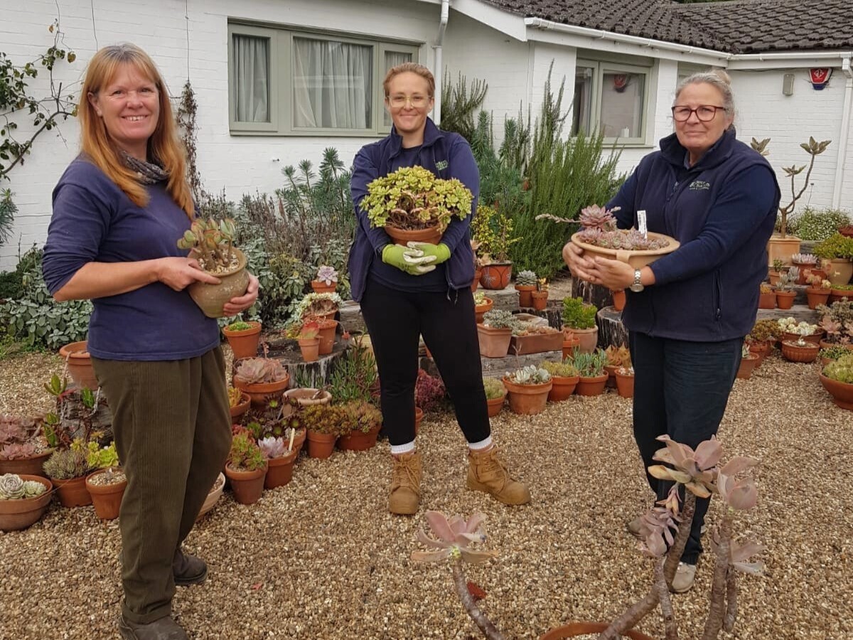 Weekly catch up with garden and propagation