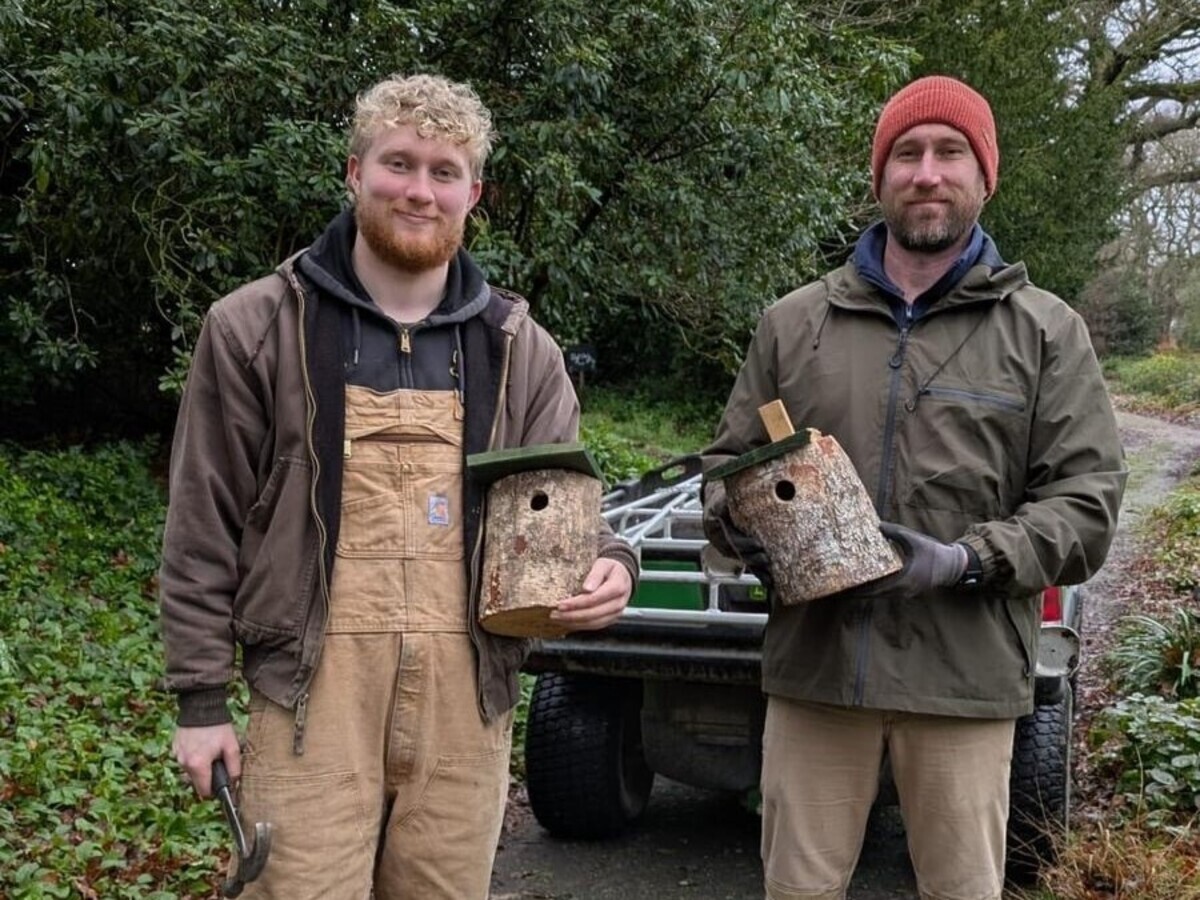 Weekly catch up with garden & propagation