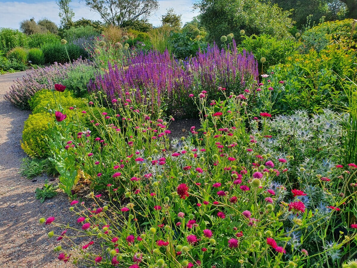A garden for summer begins in autumn 