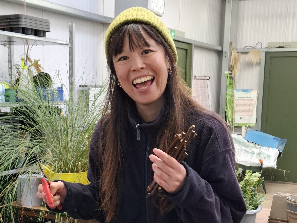 Weekly catch up with garden & propagation
