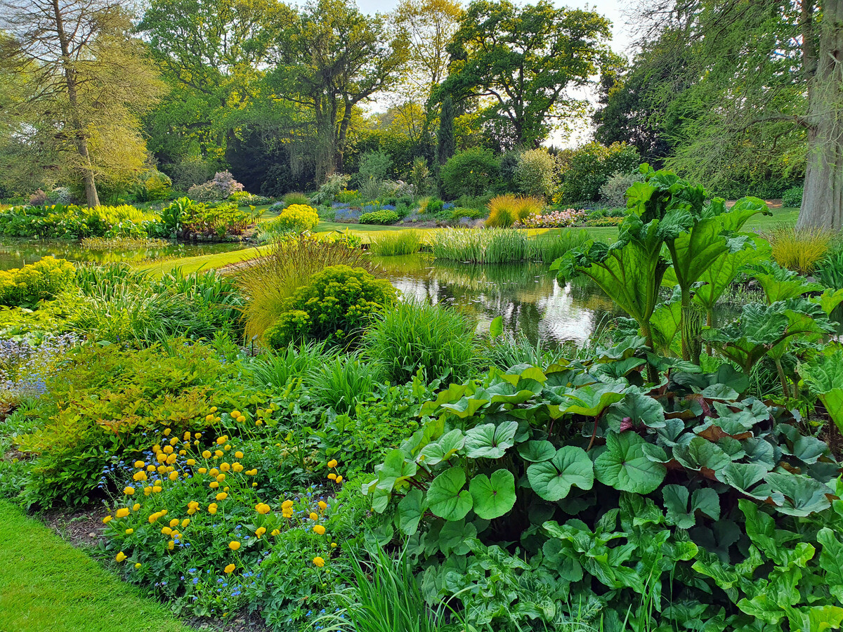 Top 10 moisture loving plants
