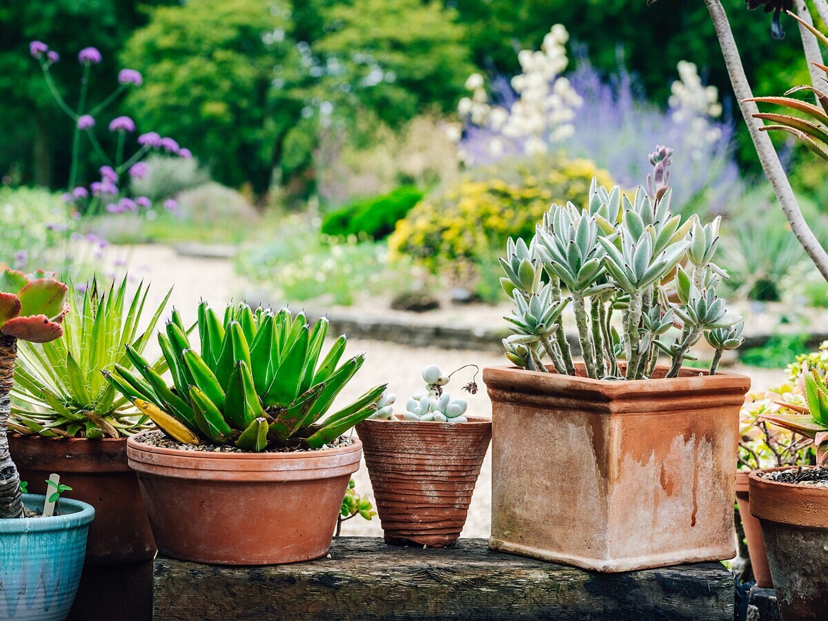 Container gardening
