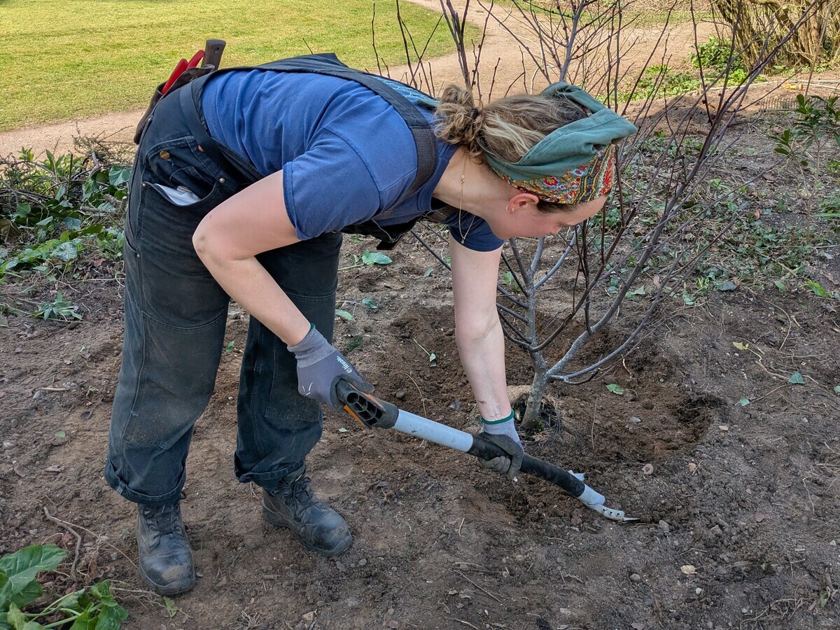 Weekly catch up with gardens & propagation