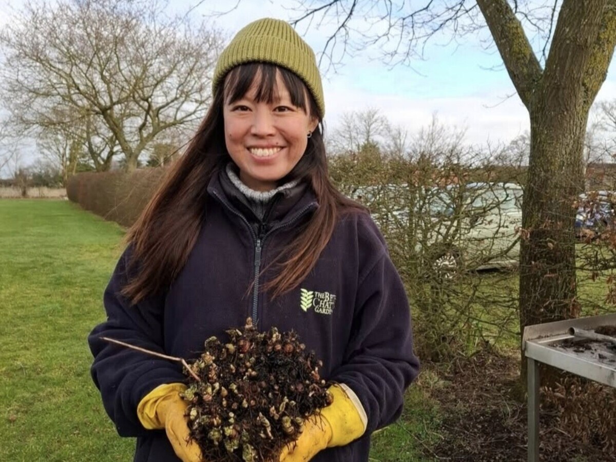 Weekly catch up with garden & propagation