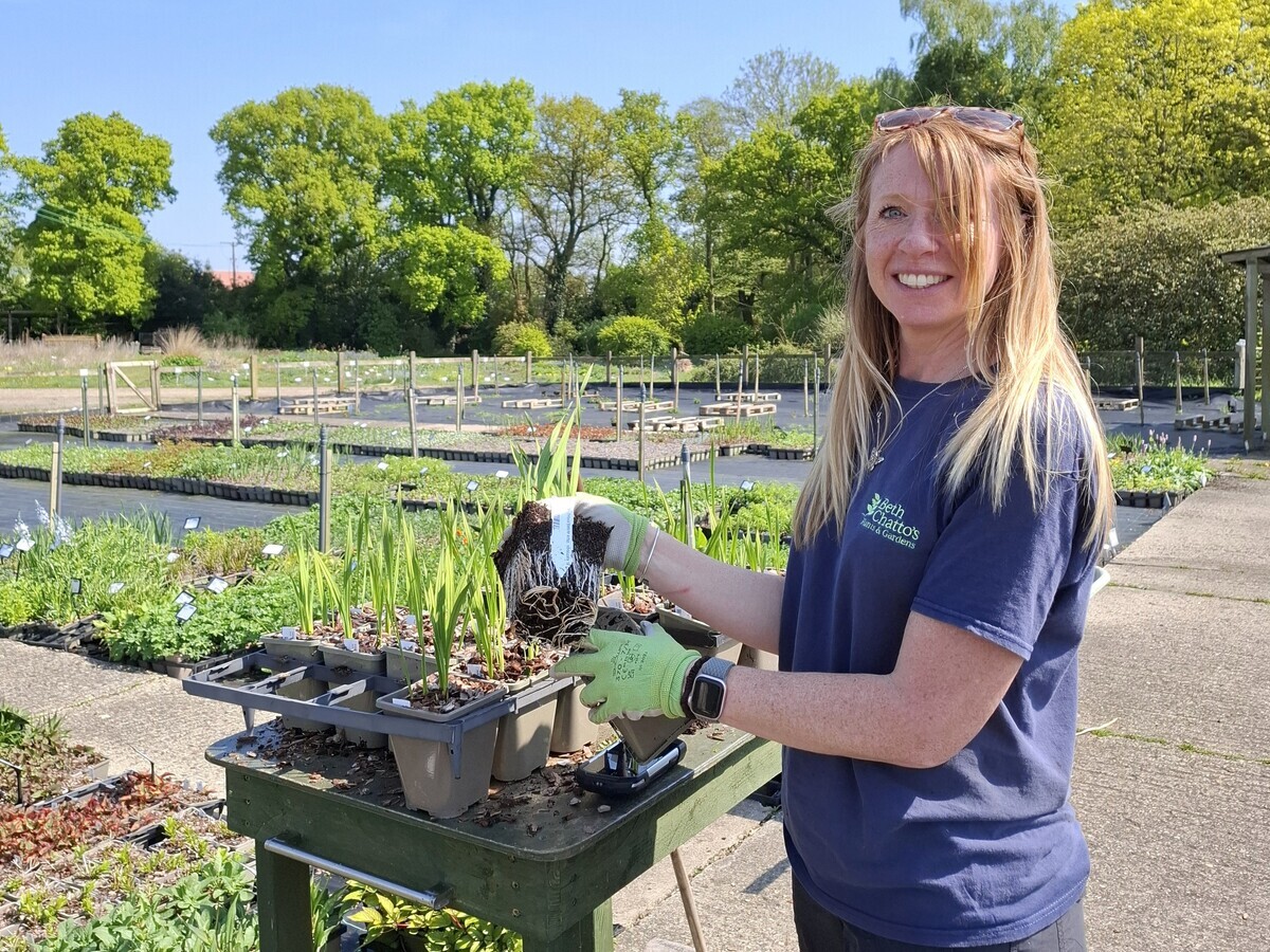 Weekly catch up with gardens & propagation