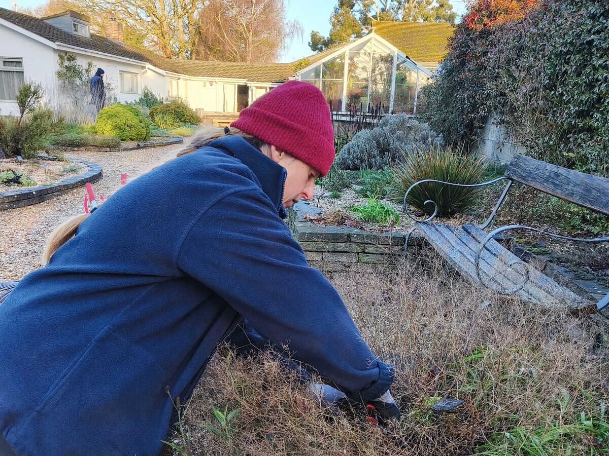 Weekly catch up with garden & propagation
